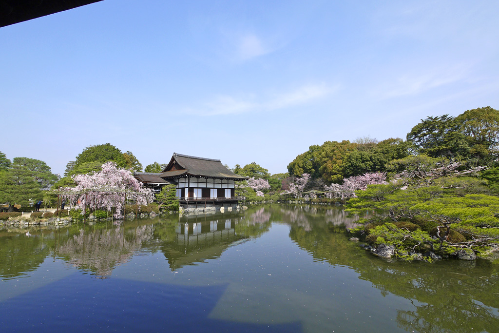編集部オススメの撮影ポジション②泰平閣