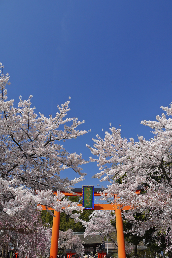 平野神社