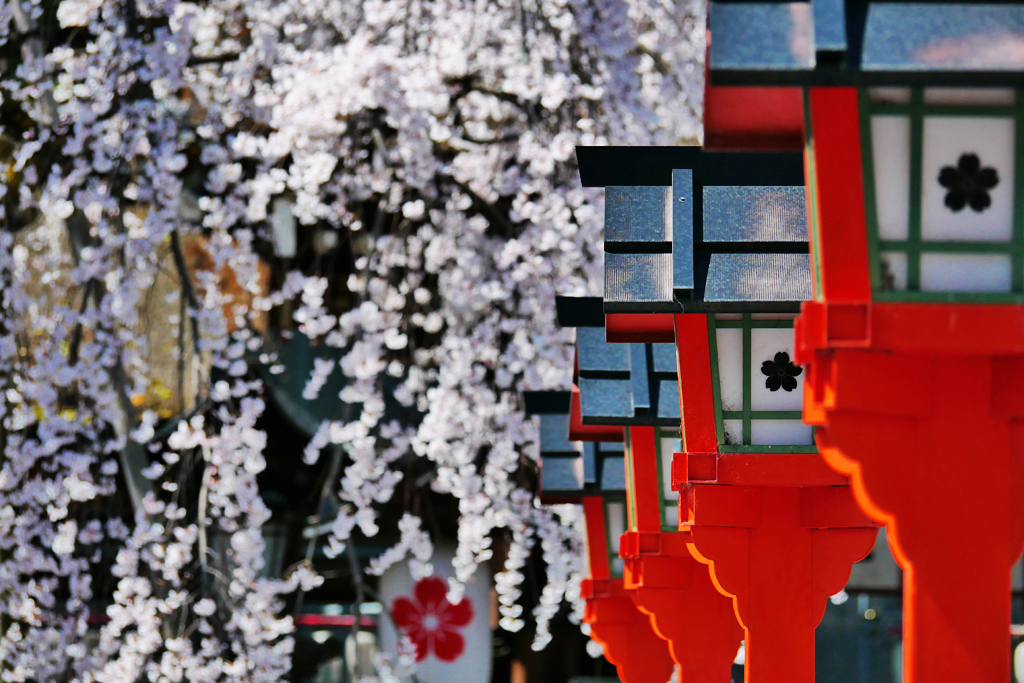 平野神社
