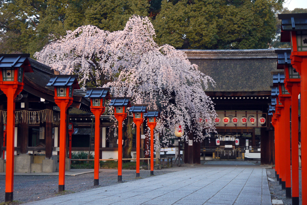 平野神社