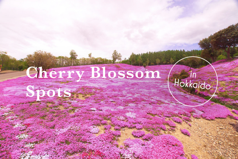 北海道の桜名所と見頃を紹介 花見 撮影におすすめランキングtop10 Goopass Travel Magazine