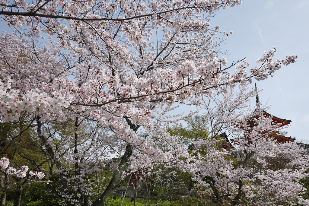 清水寺