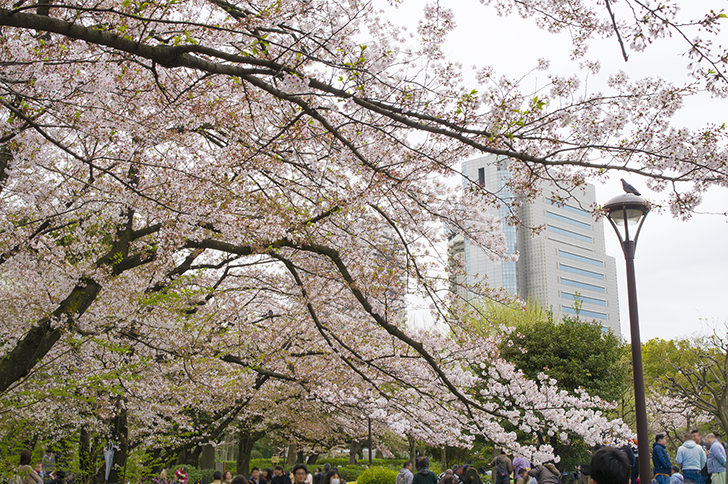 隅田公園