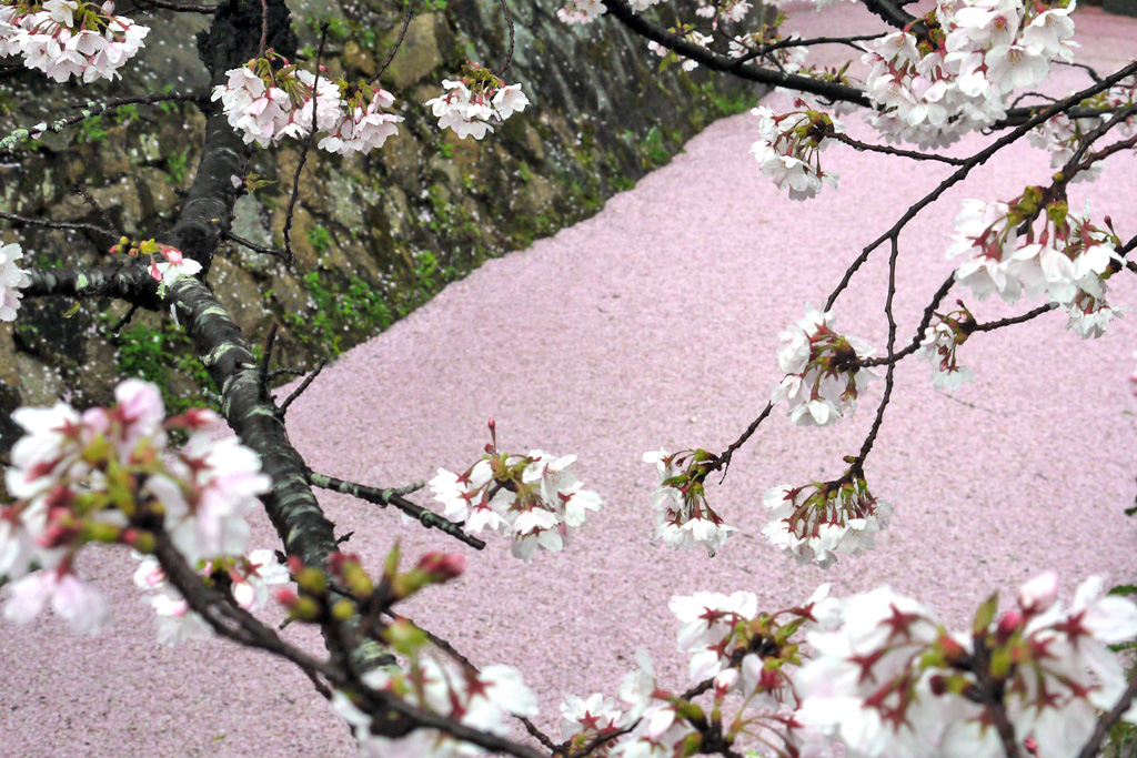 銀閣寺道