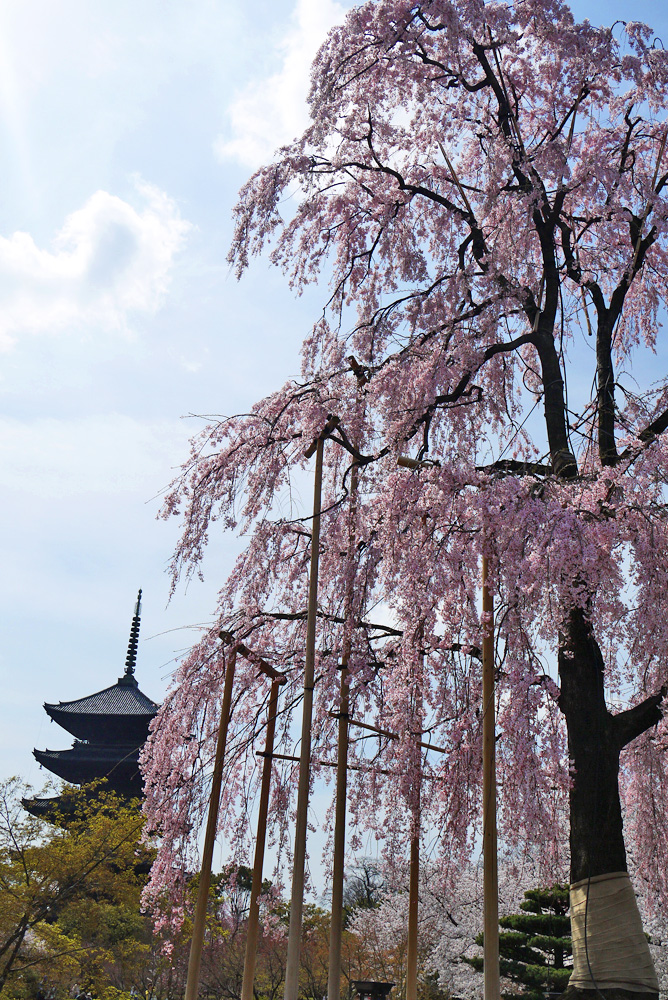 東寺
