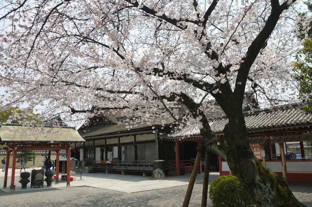 東寺