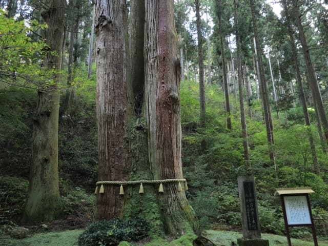 御岩神社
