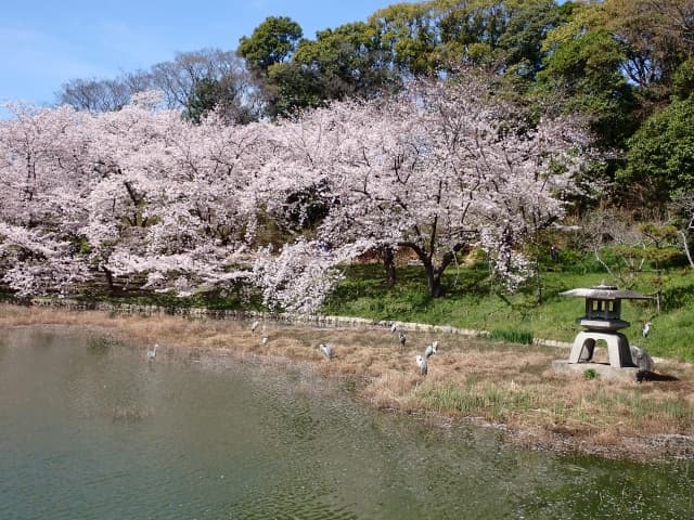 花博記念公園鶴見緑地