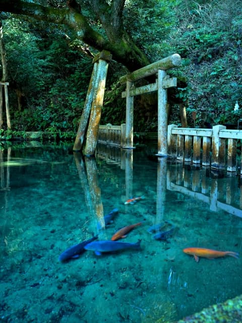 茨城県の写真映えするパワースポット10選！運気も撮れ高もアップ