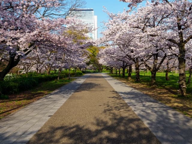 大阪城公園