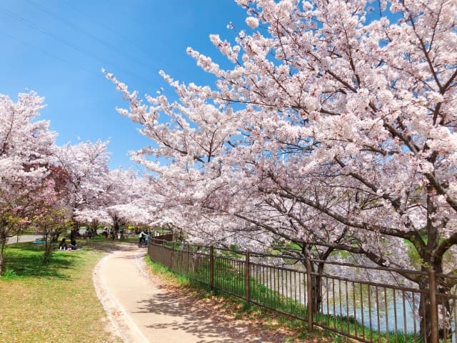 花博記念公園鶴見緑地