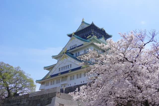 大阪　桜