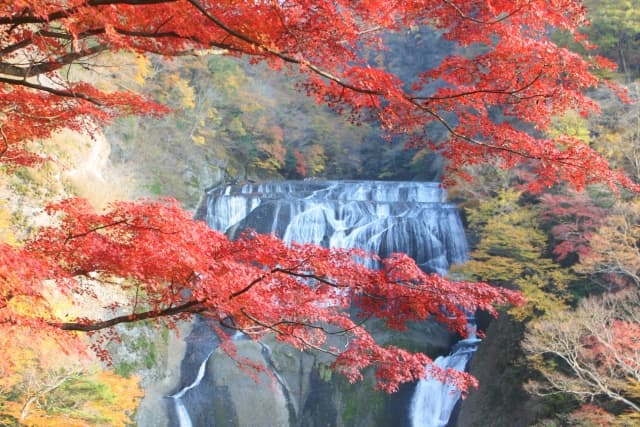袋田の滝