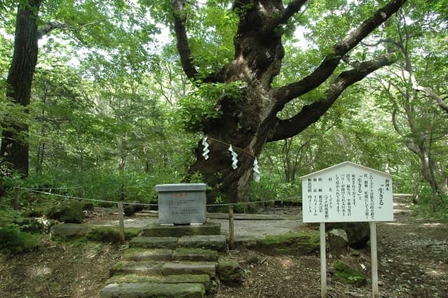 那須温泉神社