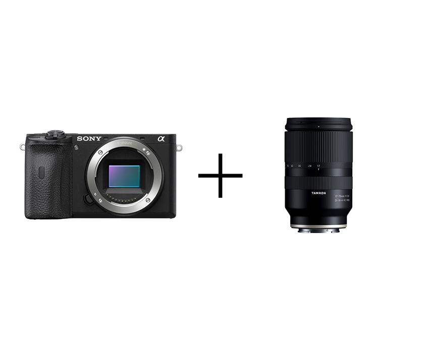 SONY α6600