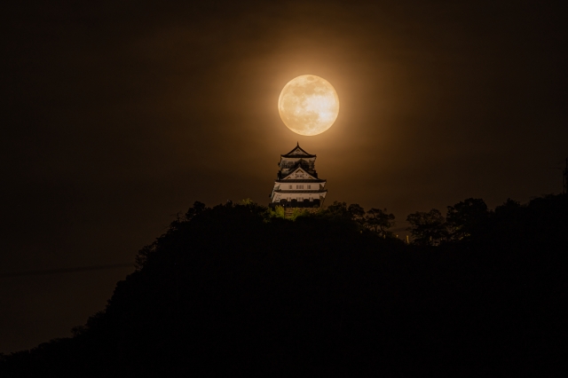 岐阜城