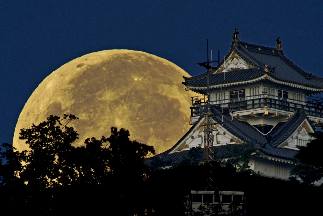 岐阜県