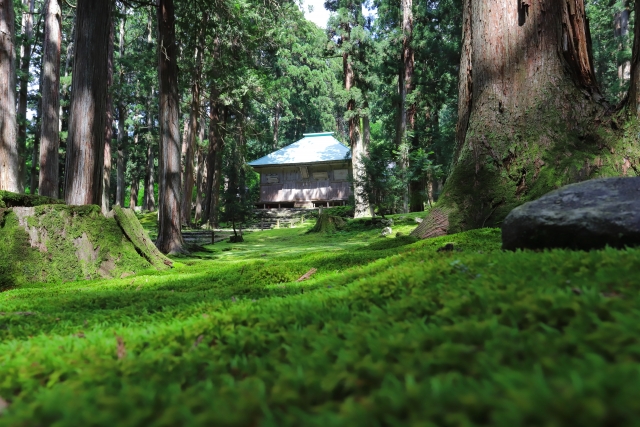 平泉寺白山神社