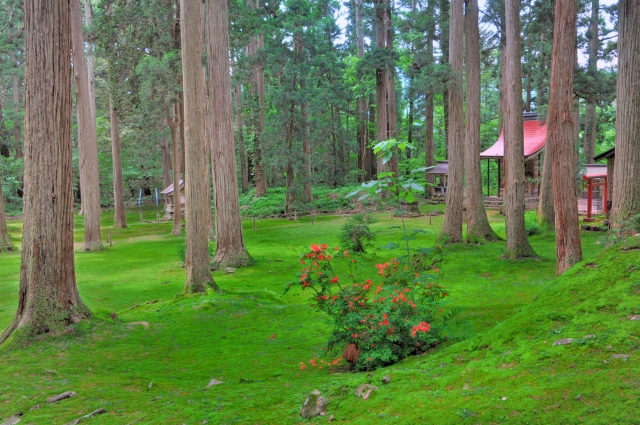 平泉寺白山神社