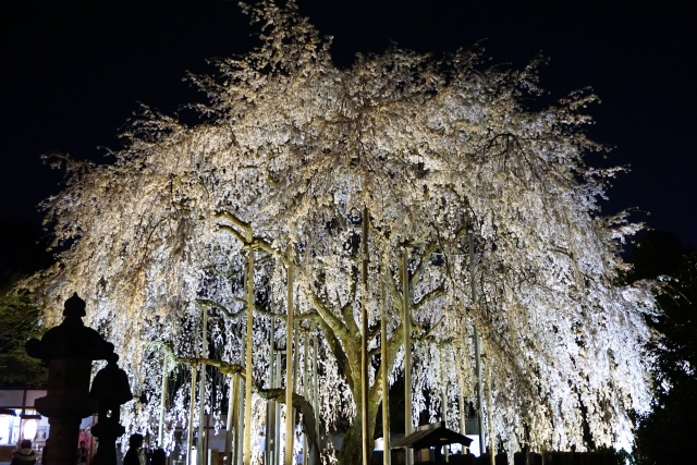 足羽神社