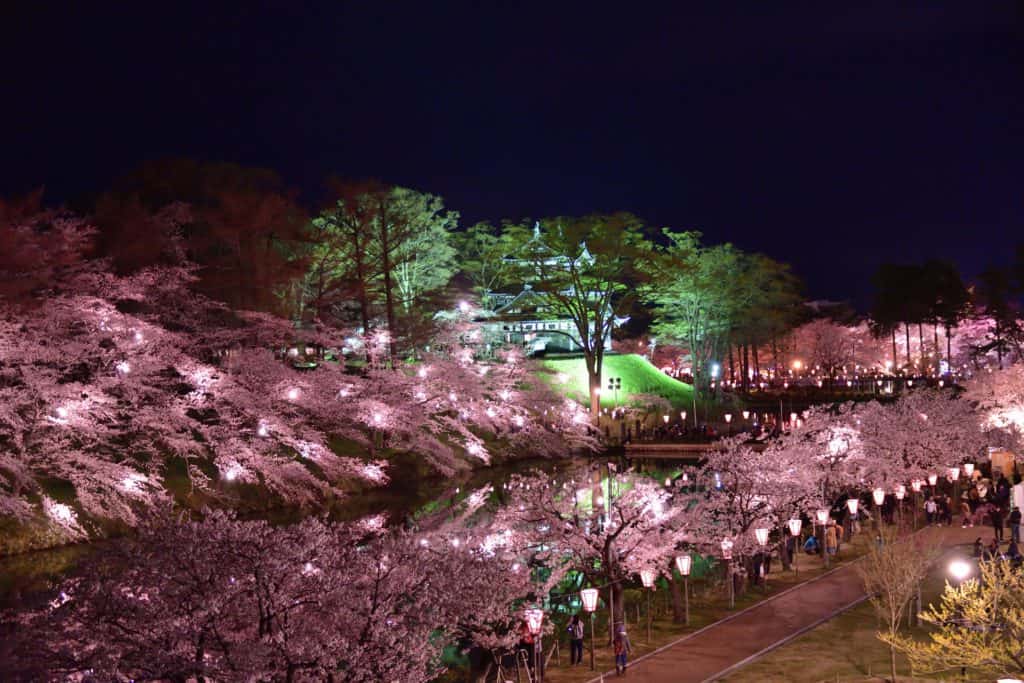 高田公園の夜景