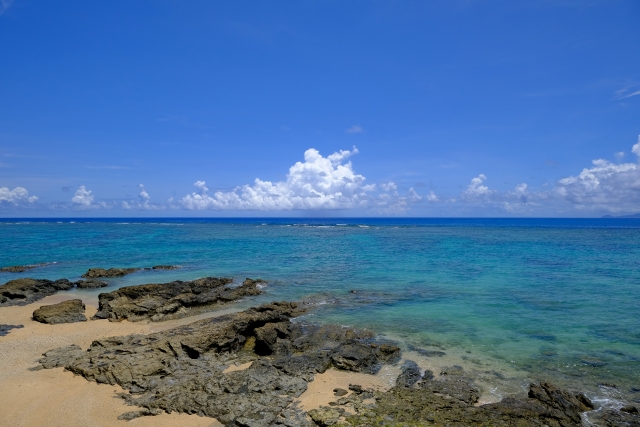 奄美大島