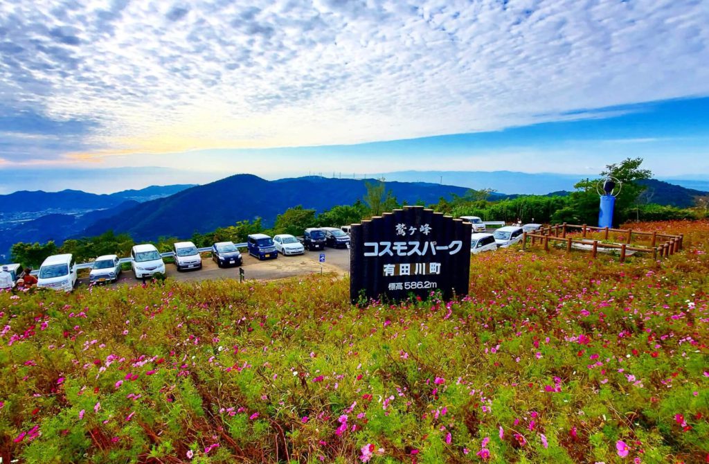 鷲ヶ峰コスモスパーク