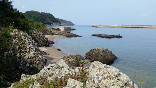 竹野