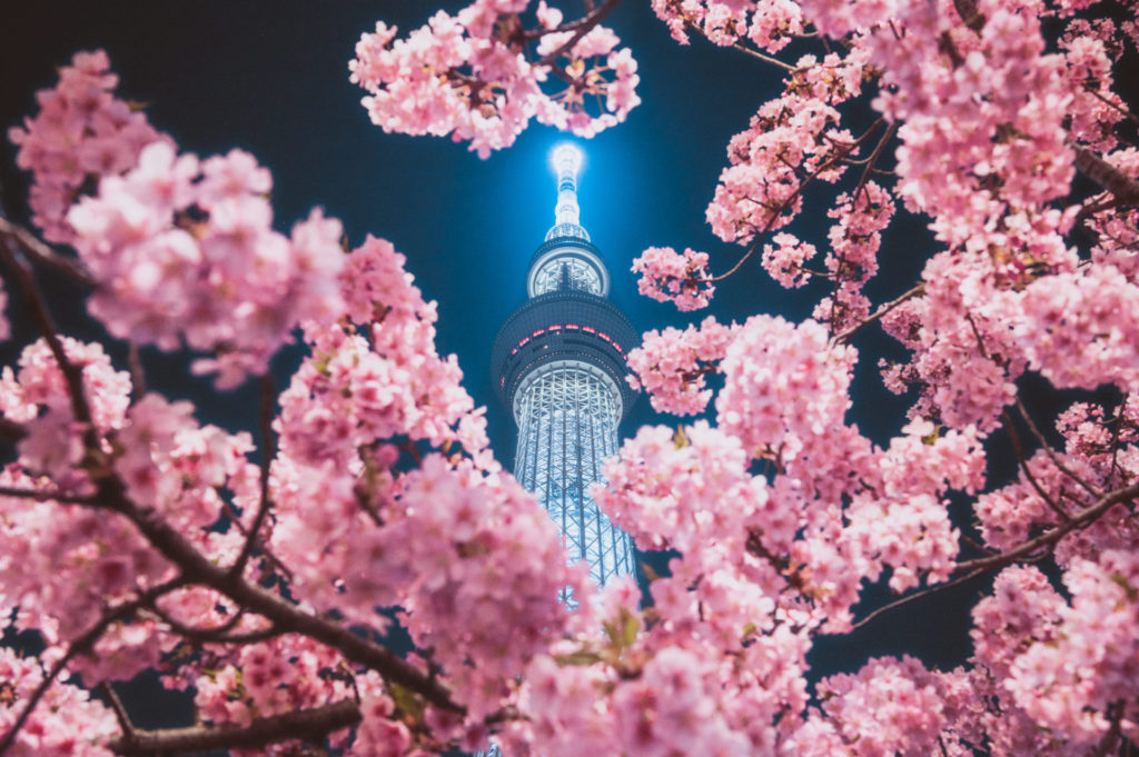 スカイツリーの夜景