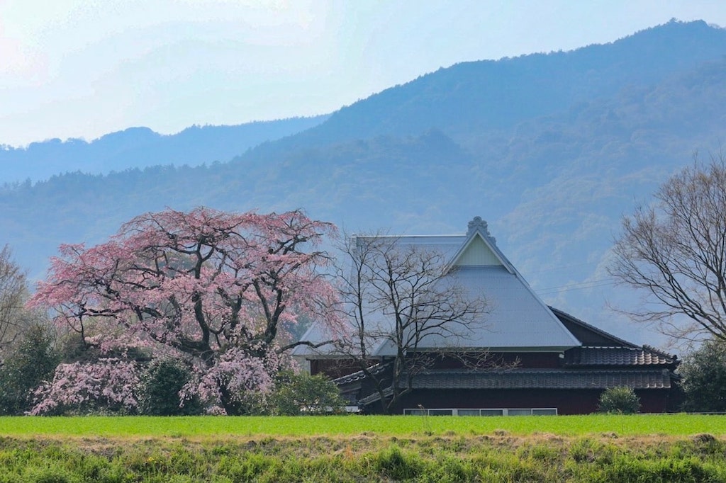 宝珠寺
