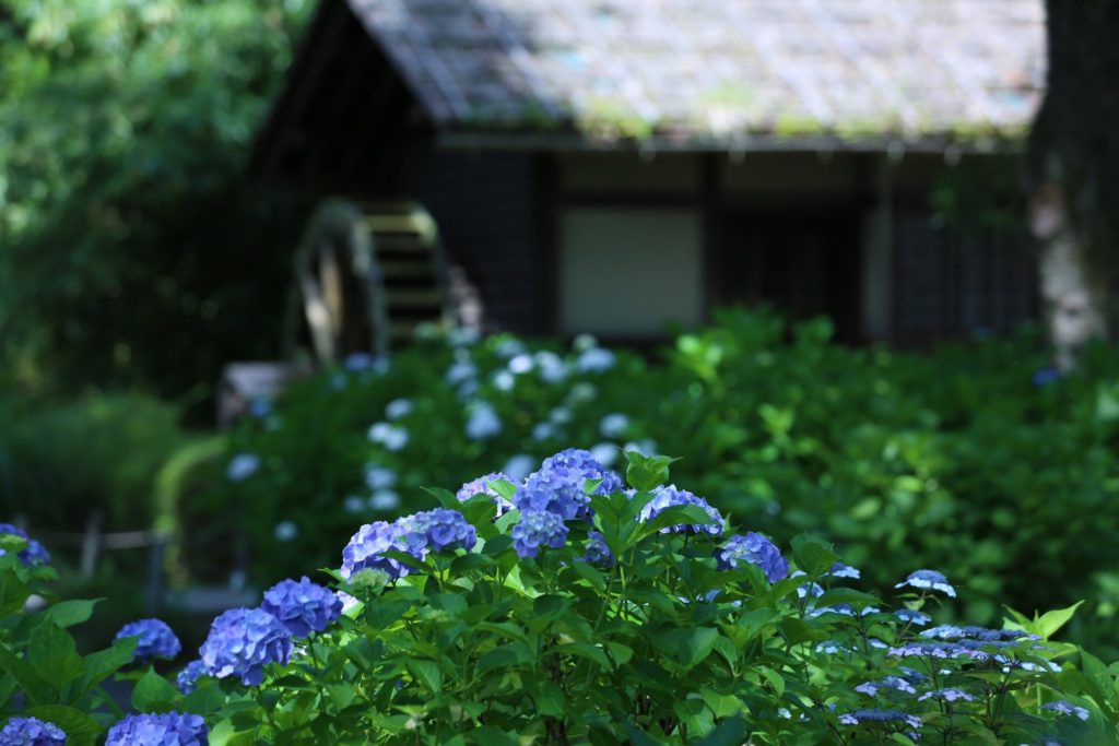 府中市郷土の森博物館