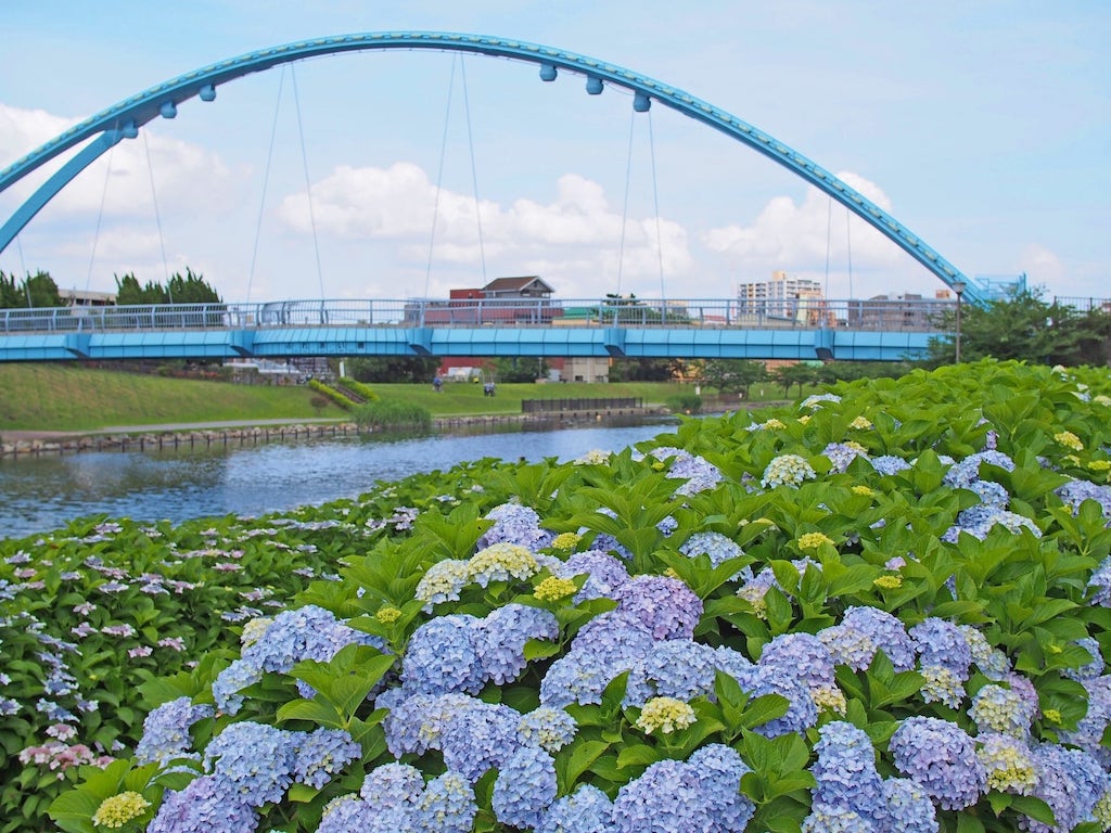 旧中川水辺公園
