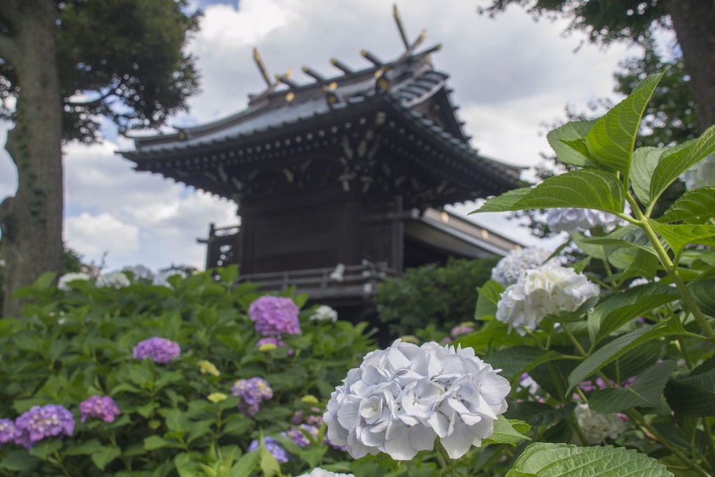 白山公園