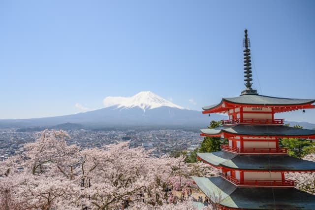 日中の忠霊塔・富士山・桜の写真