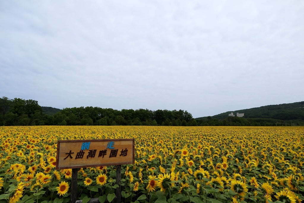 大曲湖畔園地