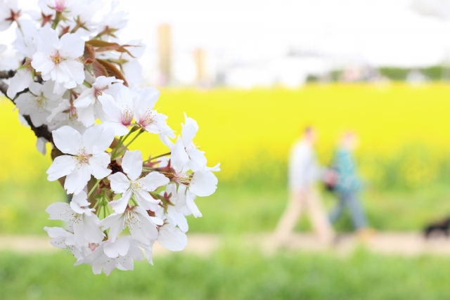 埼玉県のインスタ映えスポット