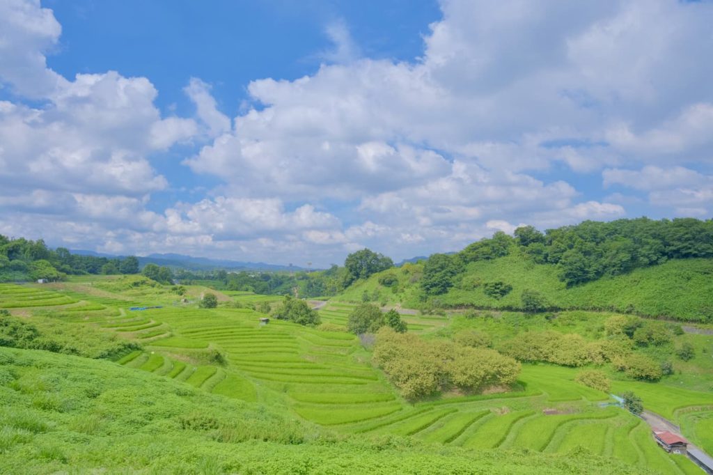 下赤阪の棚田
