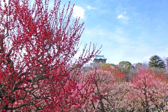大阪城公園