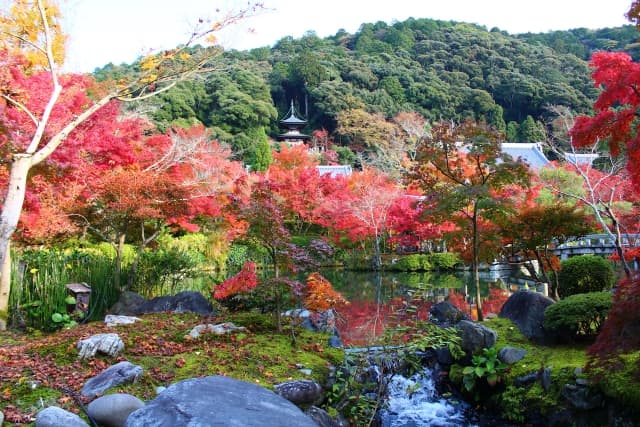 永観堂の紅葉