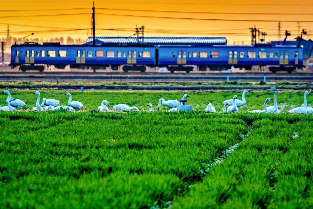 えちぜん鉄道