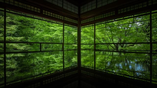 瑠璃光院