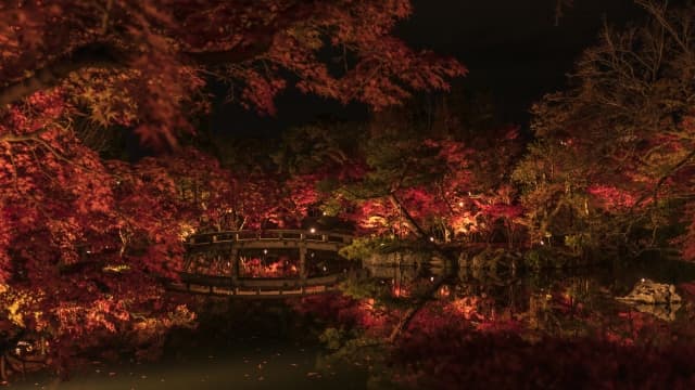 永観堂の紅葉ライトアップ