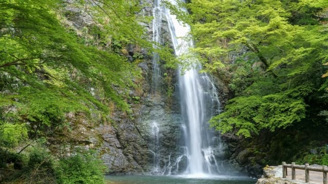 箕面大滝
