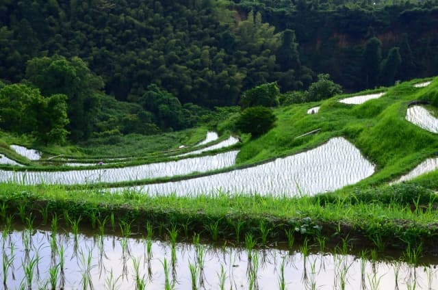 下赤阪の棚田