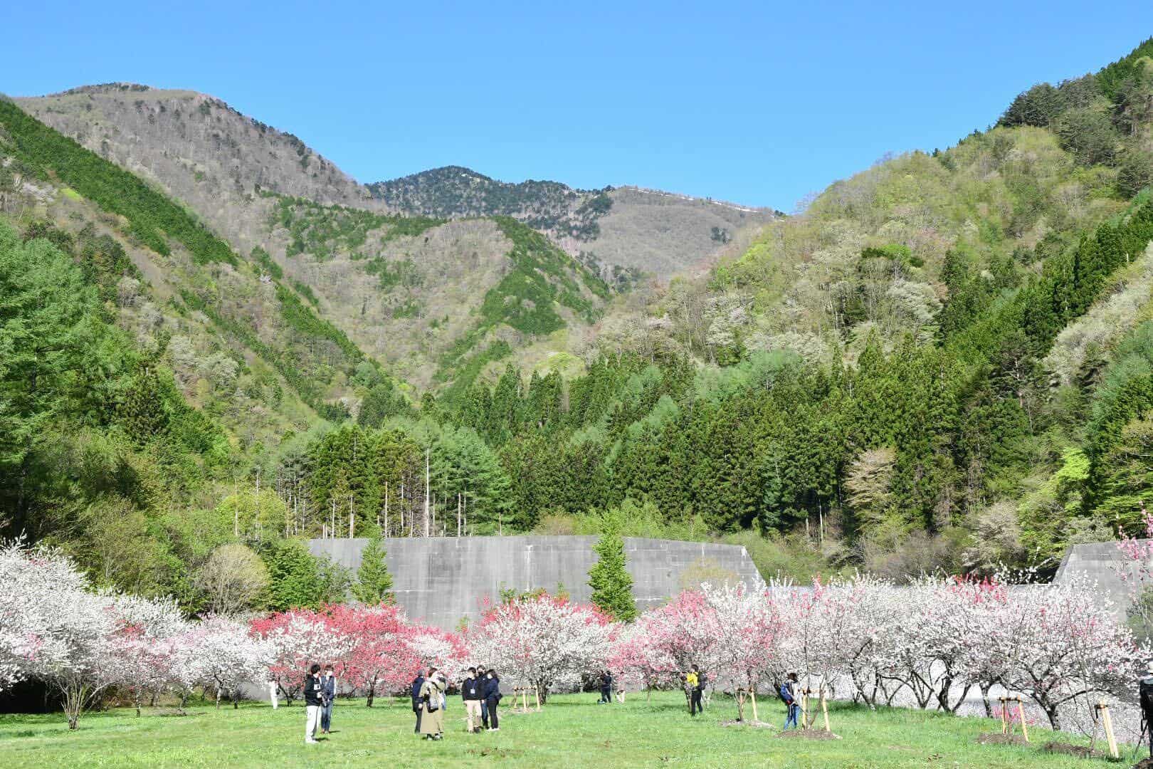 イベントレポート】2022/4/29（金・祝）・4/30（土）開催・阿智村