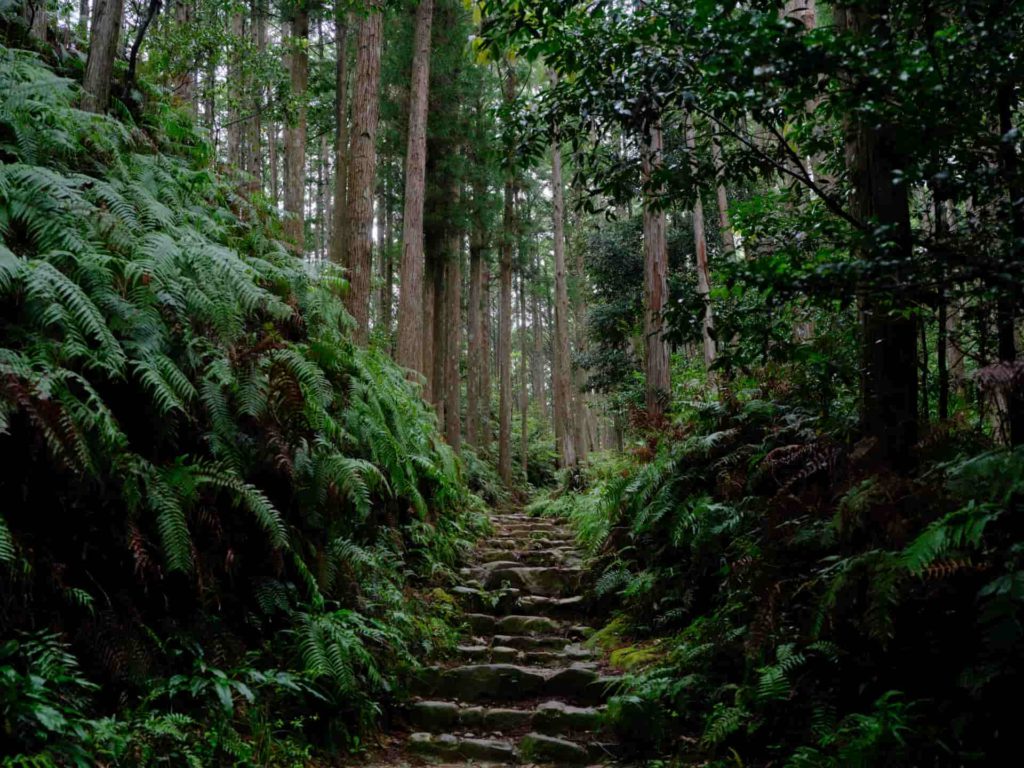 熊野古道