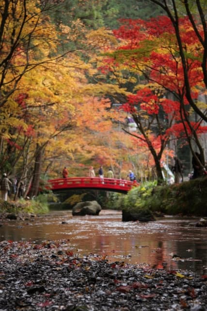 紅葉と朱色の橋