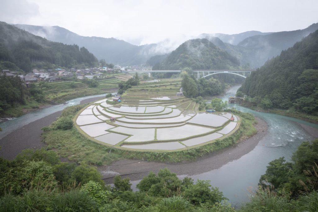 あらぎ島