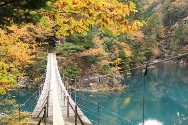 紅葉の夢のつり橋