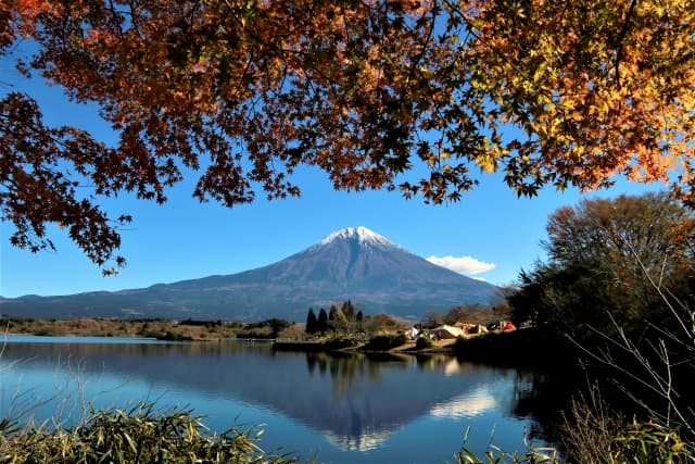 紅葉に囲まれた富士山